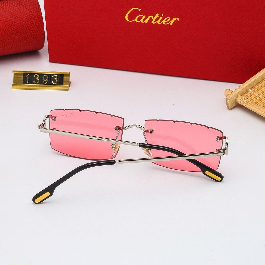 285RK35TDE Stylish Sunglasses