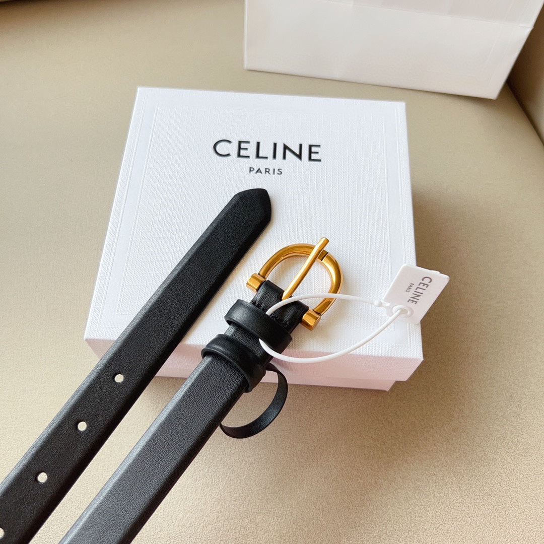 1WN178PDE Stylish  High quality belt With full package