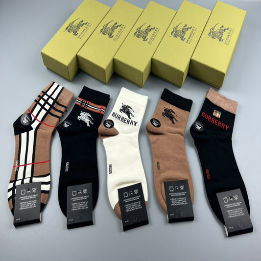 235QR13SDE Stylish socks(5 pairs )