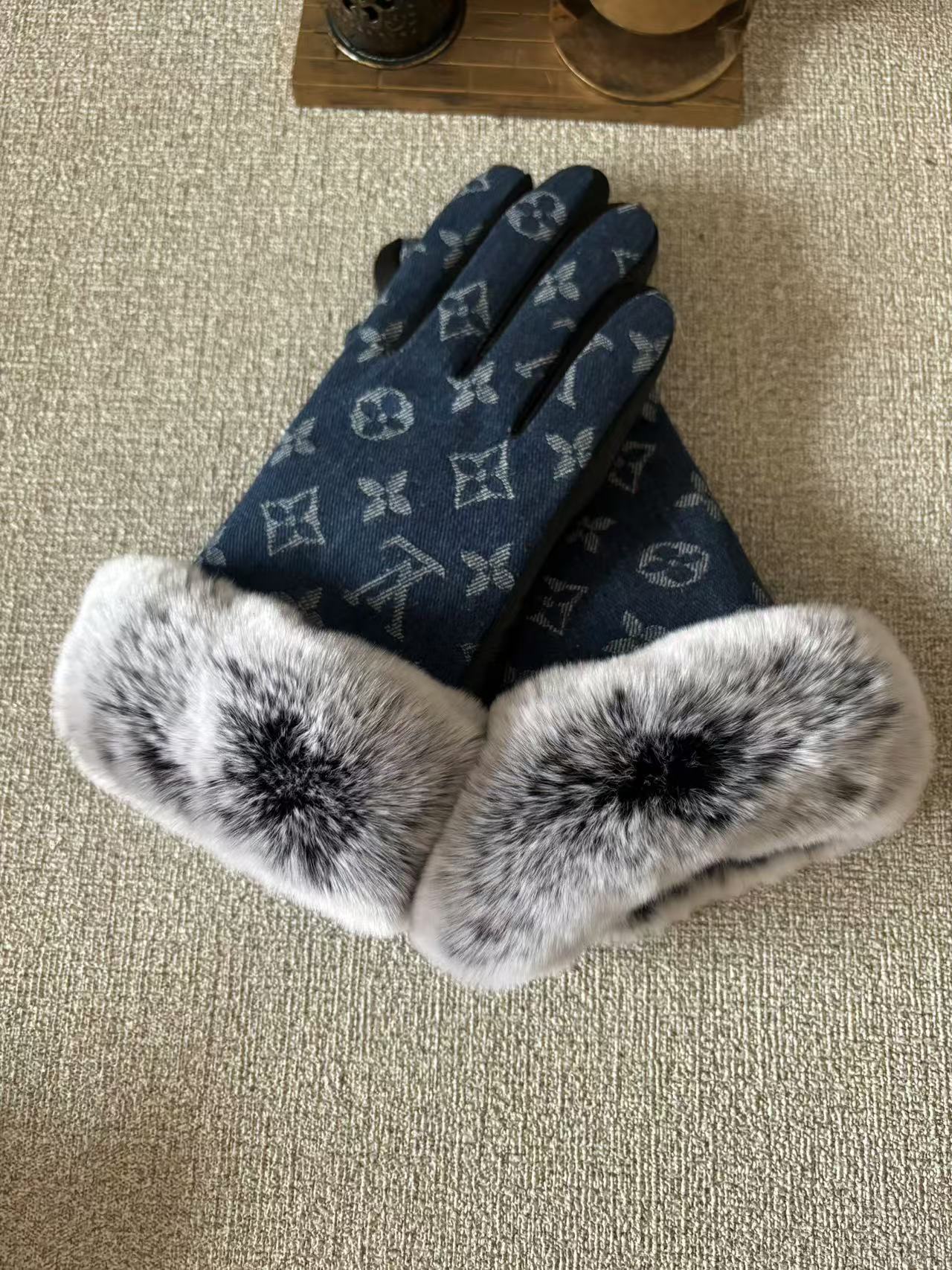 24E104SDE Stylish gloves
