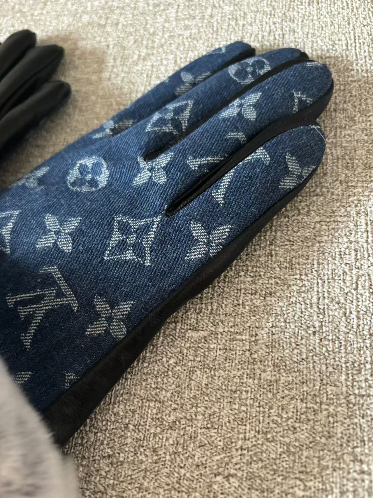 24E104SDE Stylish gloves