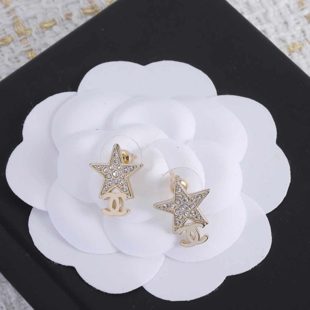 1NC227EDE Stylish Earrings