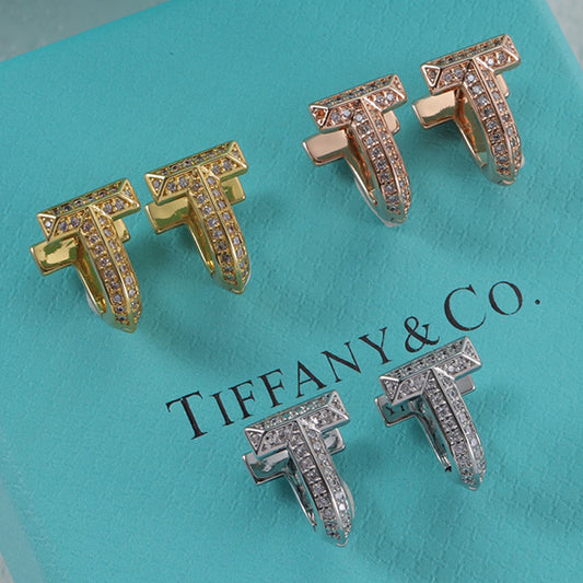 15NT2EDE Stylish Earrings