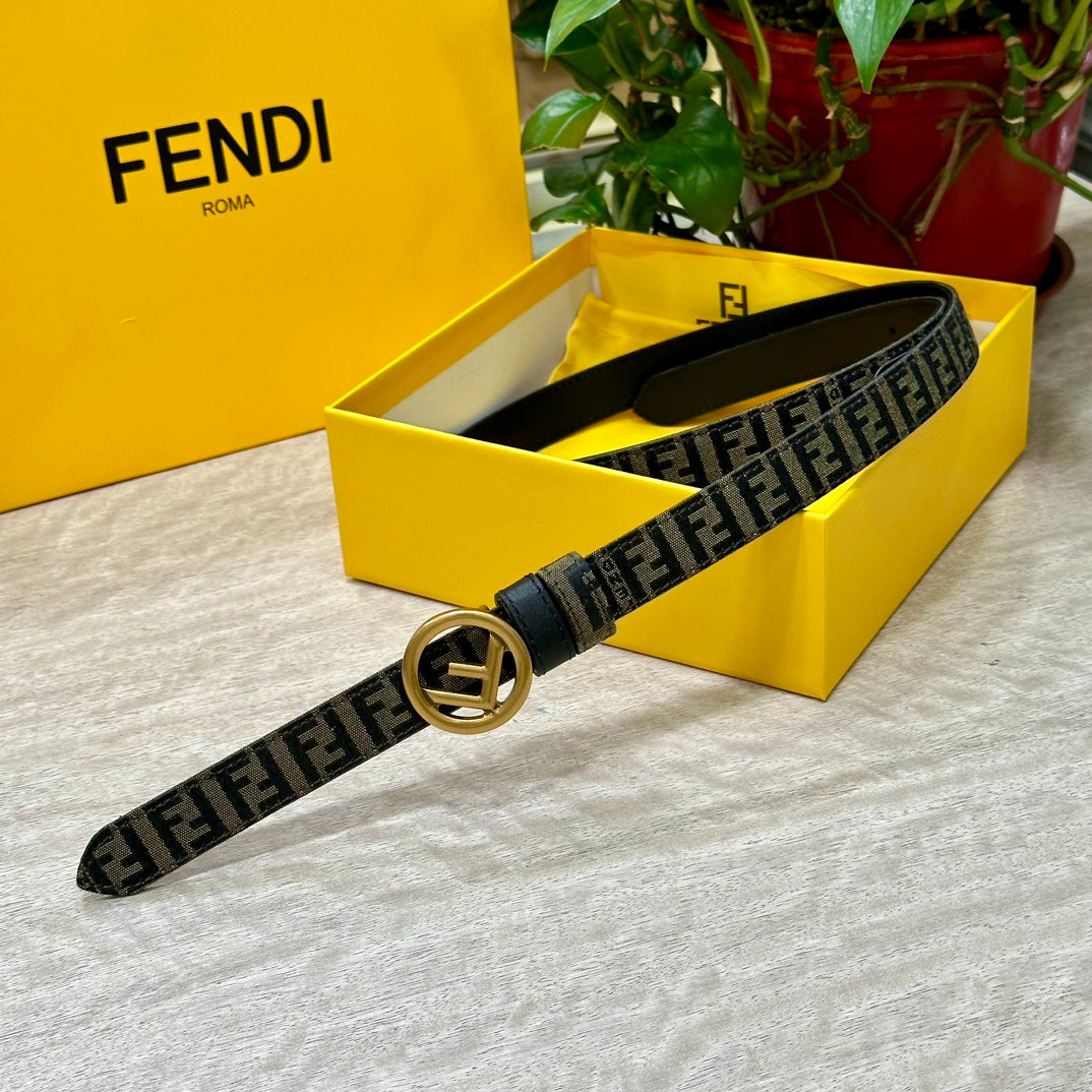 1WF176PDE Stylish  High quality belt With full package