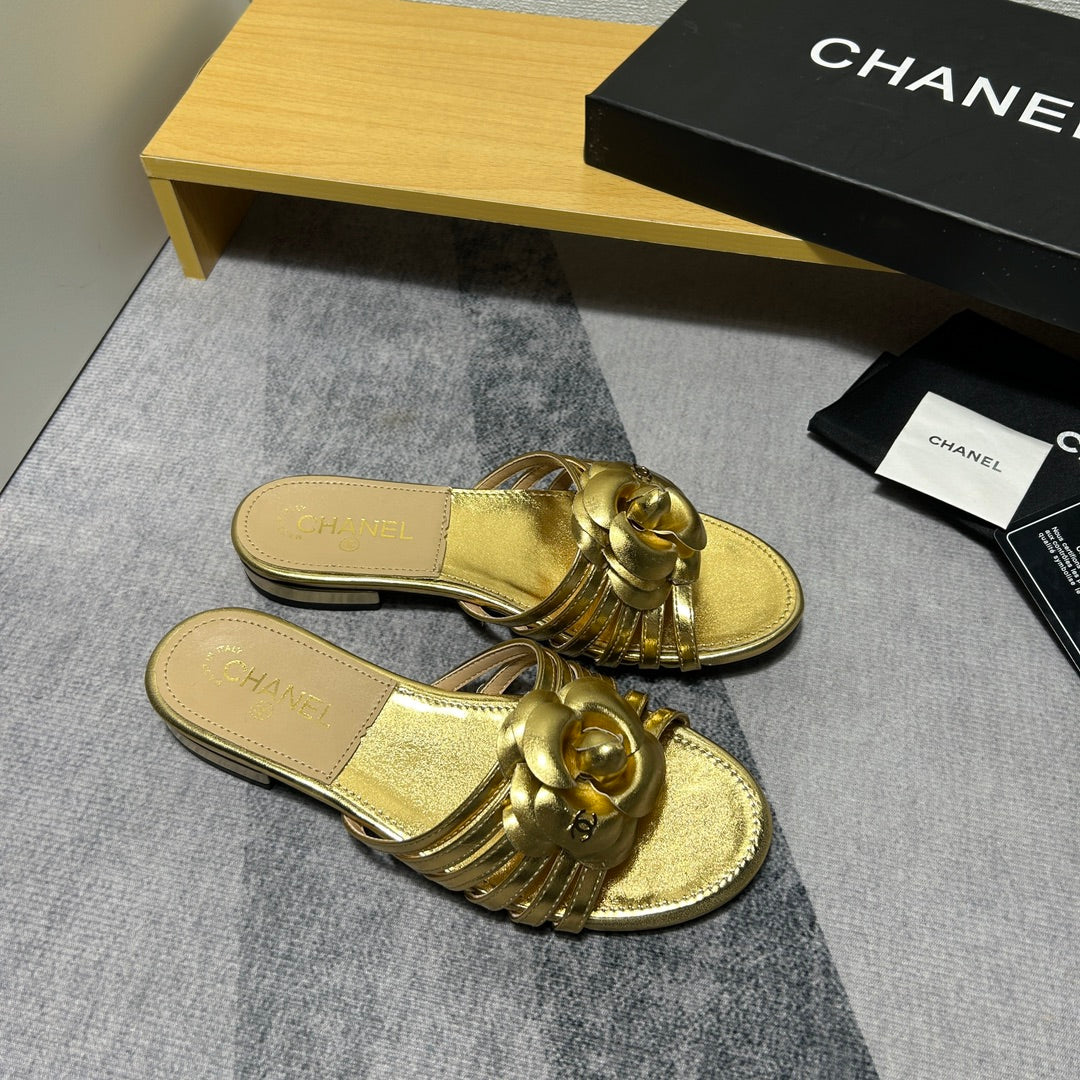 14C186ZDE Stylish Slippers