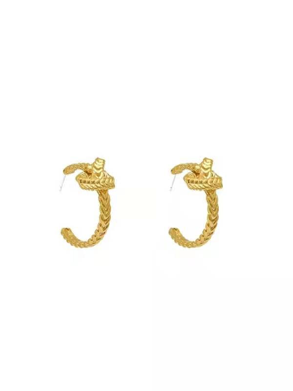 1YCL154EDE Stylish Earrings