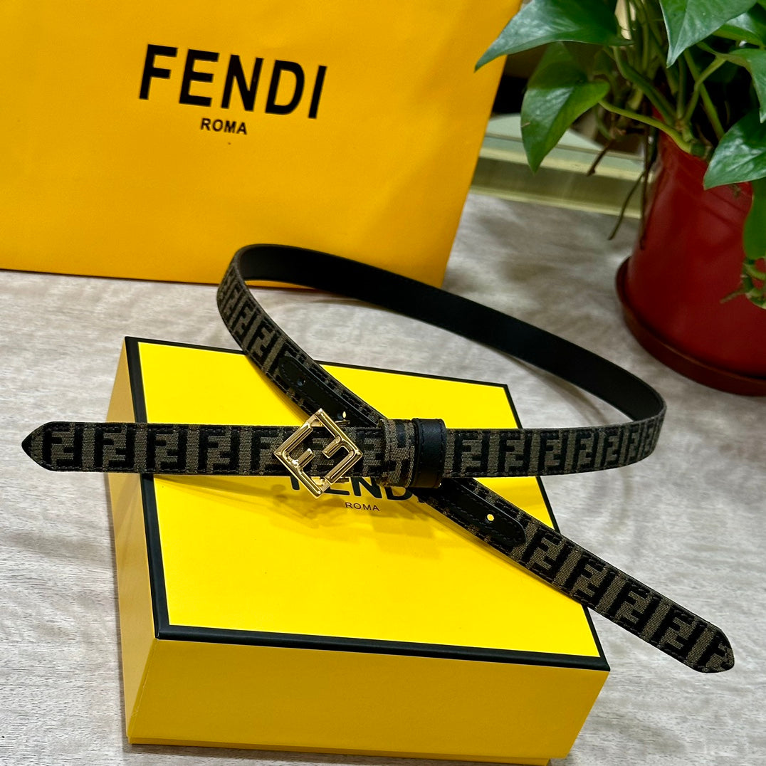 1WF187PDE Stylish  High quality belt With full package