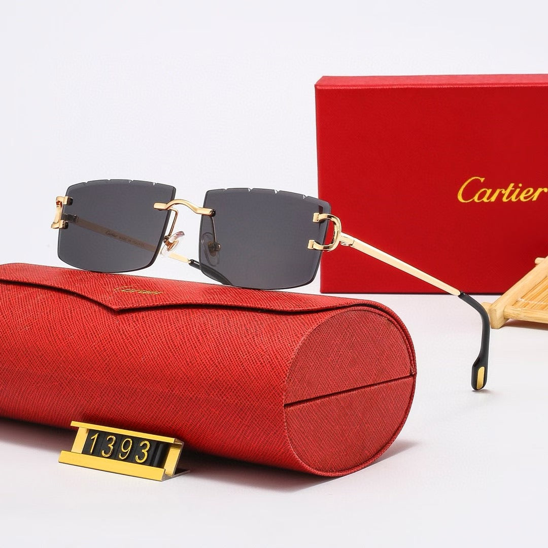 285RK35TDE Stylish Sunglasses