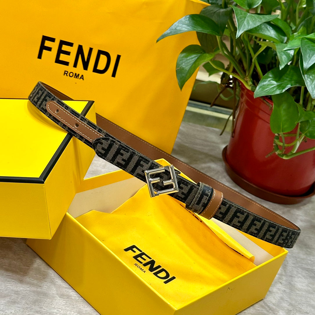 1WF186PDE Stylish  High quality belt With full package