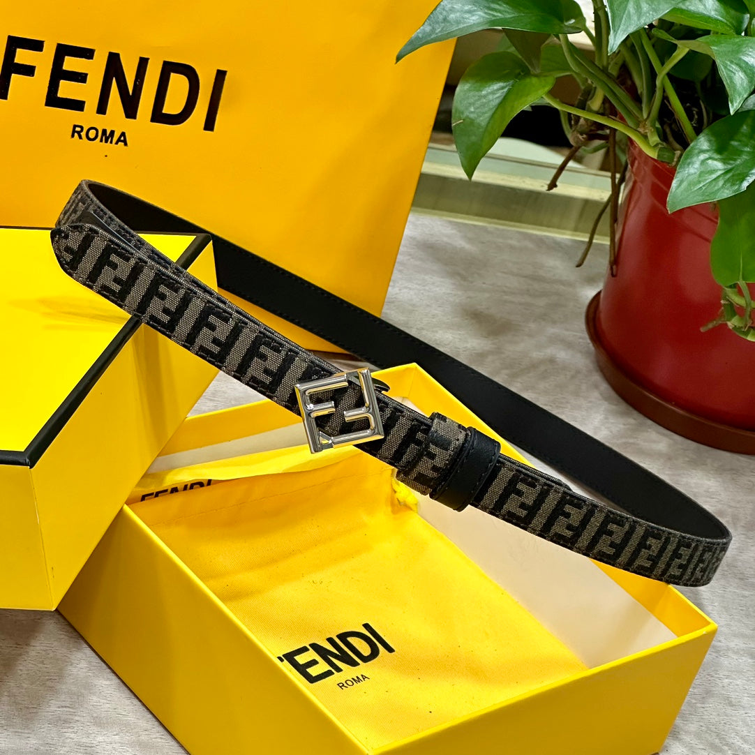 1WF187PDE Stylish  High quality belt With full package